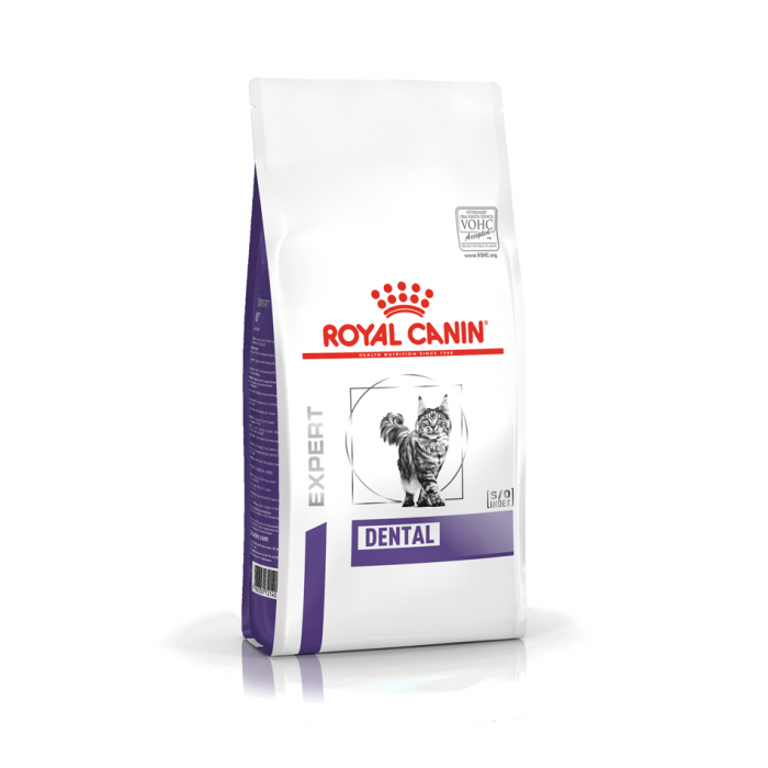 Royal canin cat dental hot sale treats