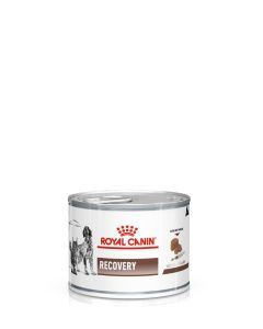 Royal Canin Recovery Adult Wet Dog & Cat Food 12x195gm