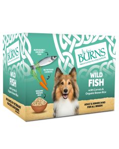 Burns Dog Penlan Fish 6x395gm